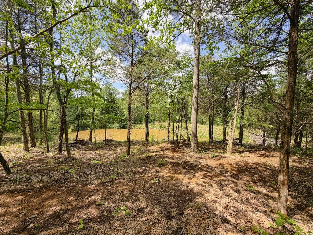 406 Lakewood Road Princeton KY 42445