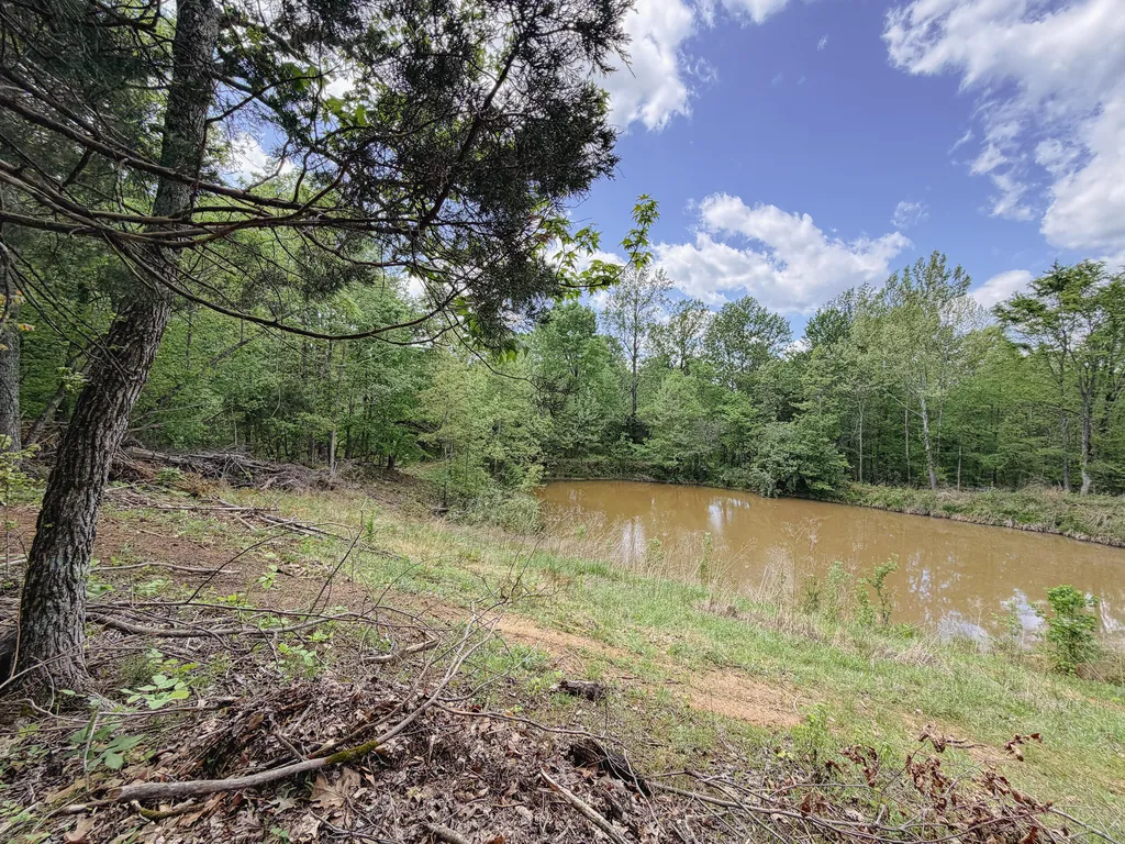406 Lakewood Road Princeton KY 42445