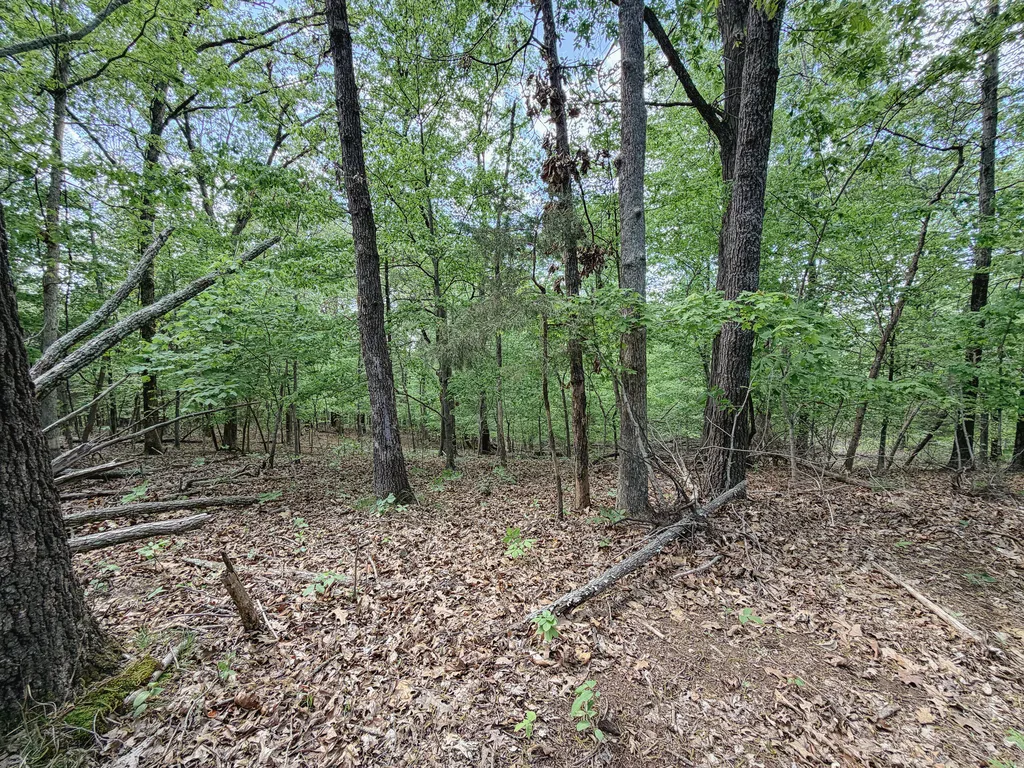 406 Lakewood Road Princeton KY 42445