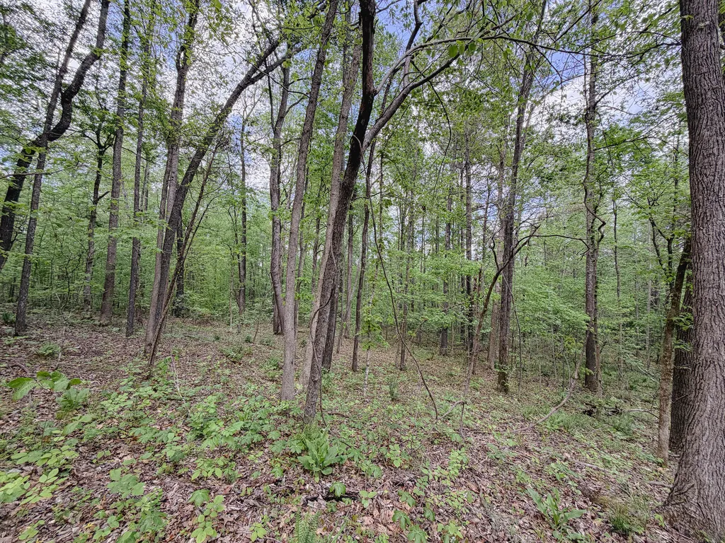 406 Lakewood Road Princeton KY 42445
