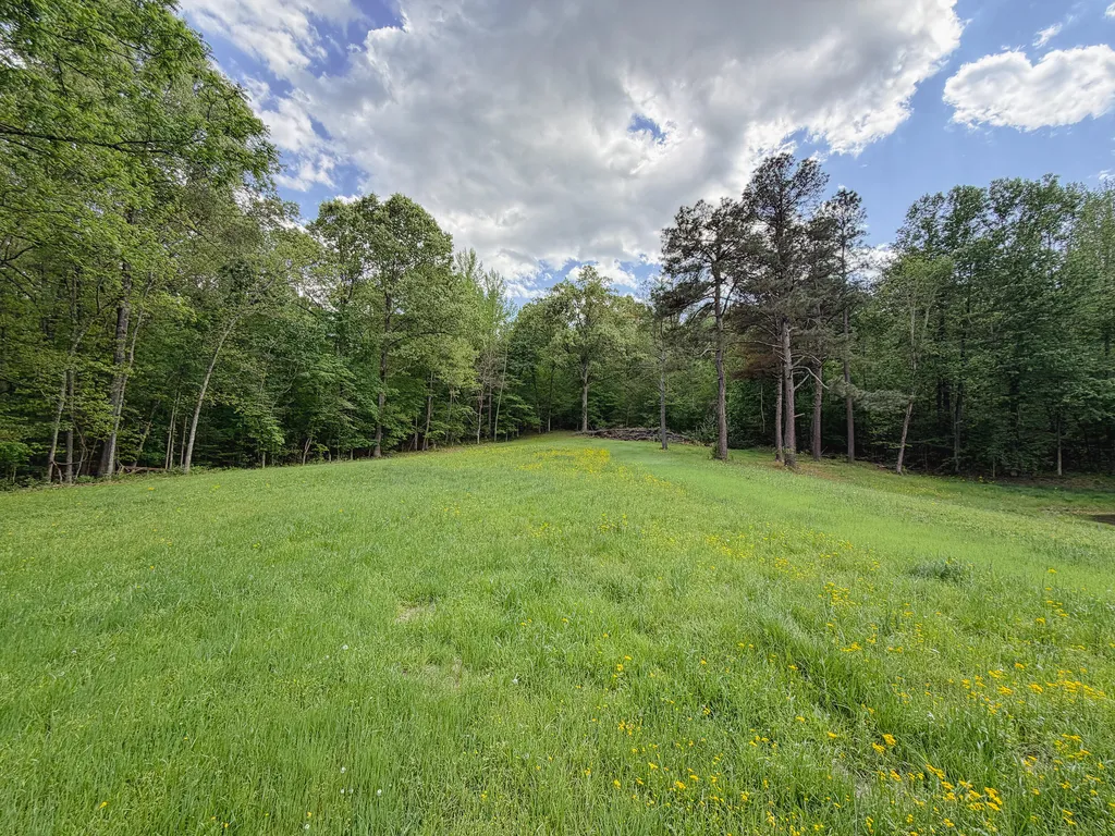 406 Lakewood Road Princeton KY 42445