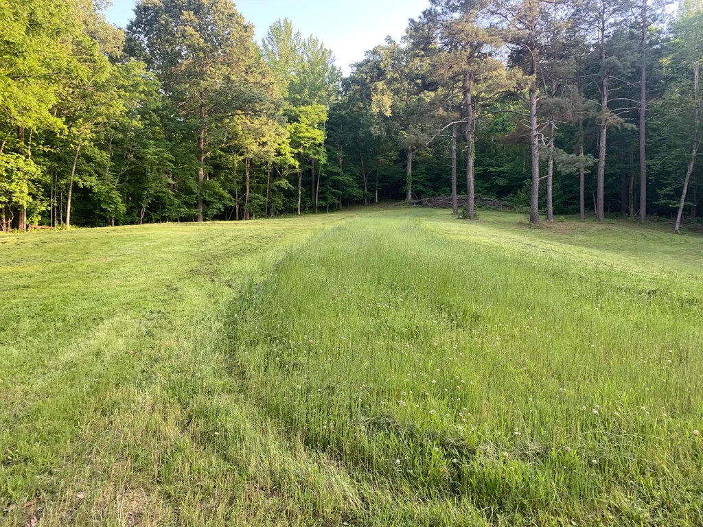 406 Lakewood Road Princeton KY 42445