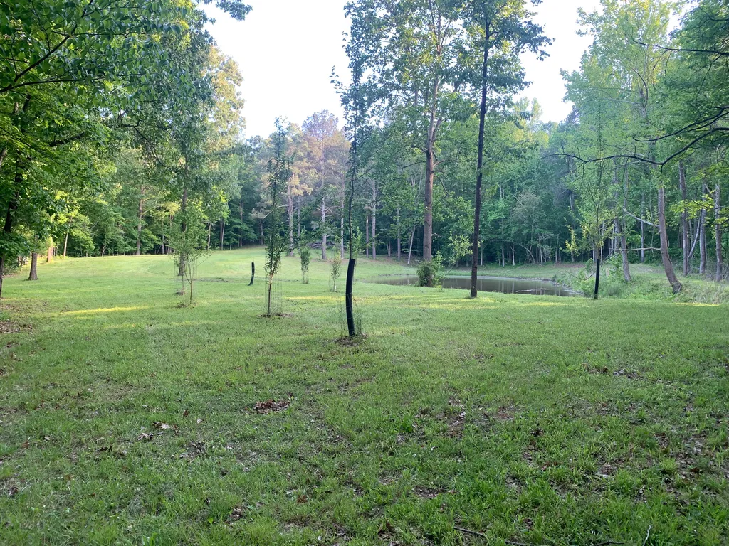 406 Lakewood Road Princeton KY 42445