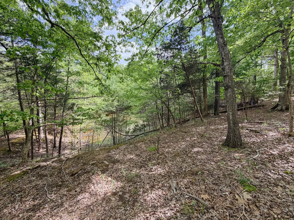 406 Lakewood Road Princeton KY 42445