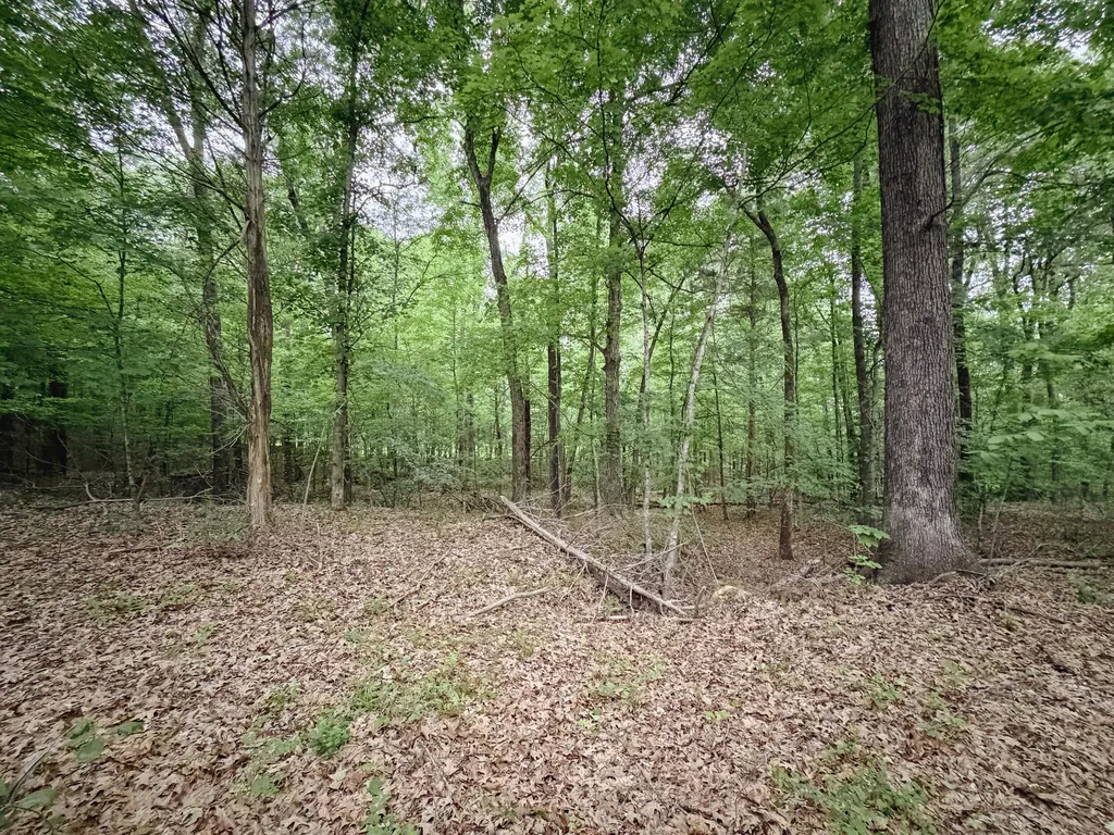 406 Lakewood Road Princeton KY 42445