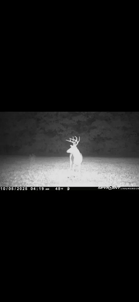 406 Lakewood Road Princeton KY 42445