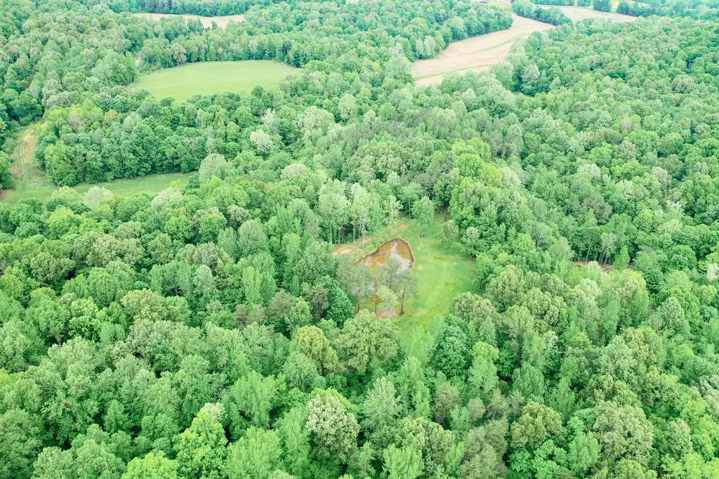 406 Lakewood Road Princeton KY 42445