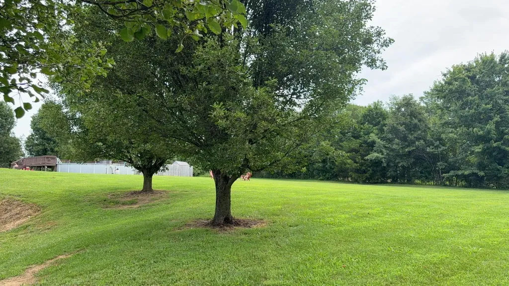 506 Ridgefield Drive Liberty KY 42539