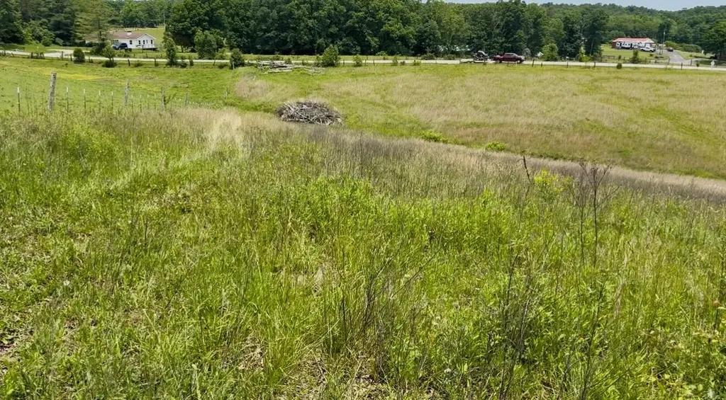 209 Clay Lick Road Jeffersonville KY 40337