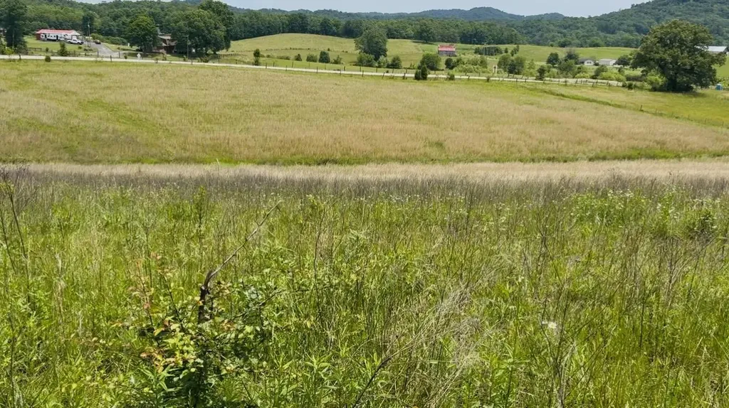 209 Clay Lick Road Jeffersonville KY 40337