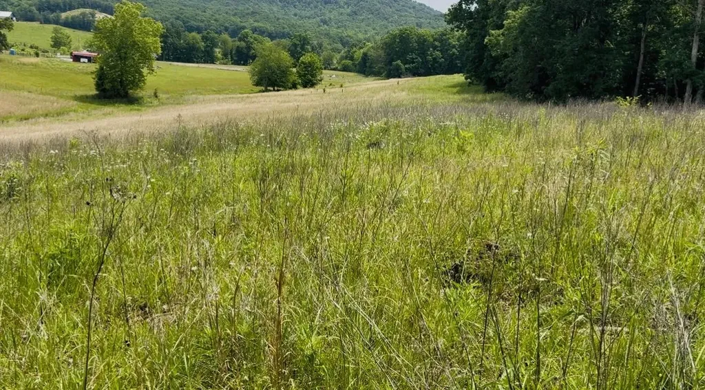 209 Clay Lick Road Jeffersonville KY 40337
