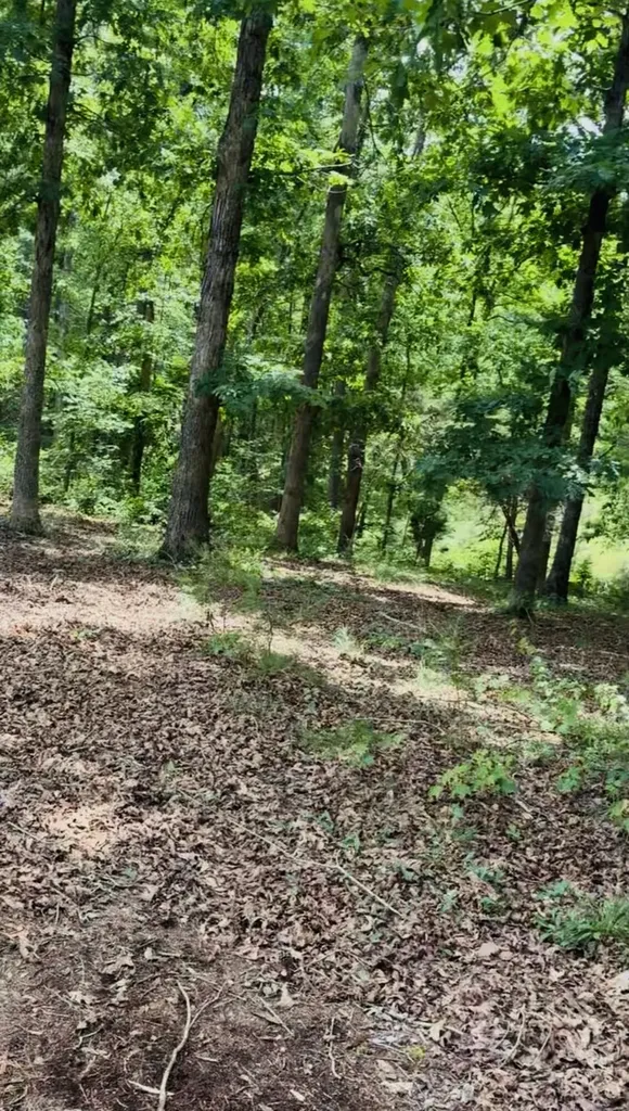 209 Clay Lick Road Jeffersonville KY 40337
