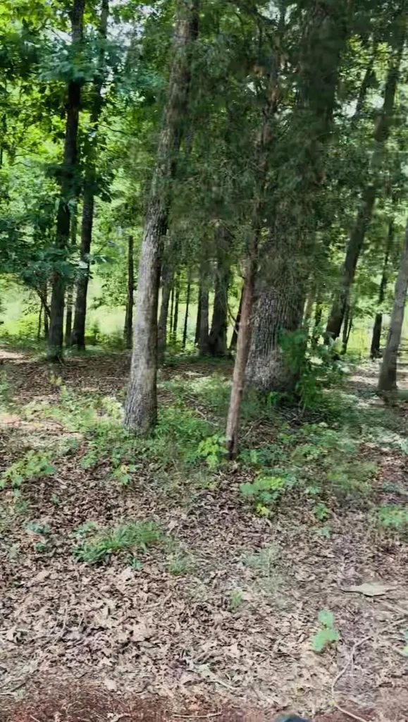 209 Clay Lick Road Jeffersonville KY 40337