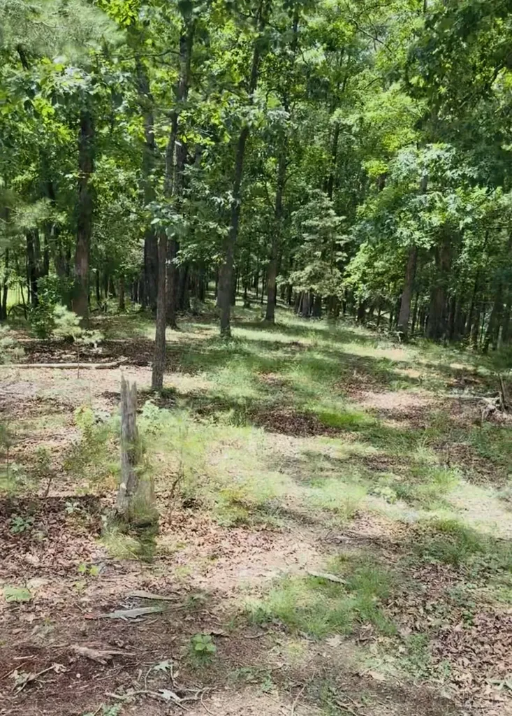 209 Clay Lick Road Jeffersonville KY 40337