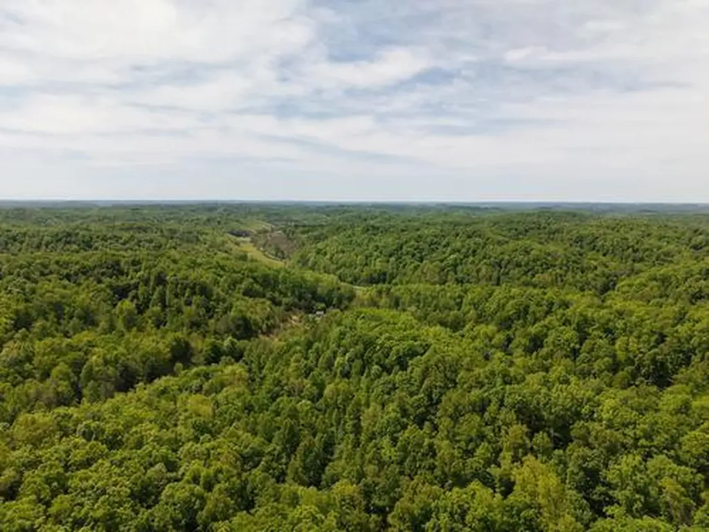 0 Pleasant Run West Liberty KY 41472