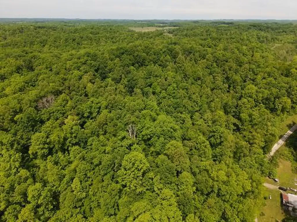 0 Pleasant Run West Liberty KY 41472