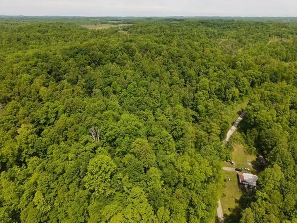 0 Pleasant Run West Liberty KY 41472