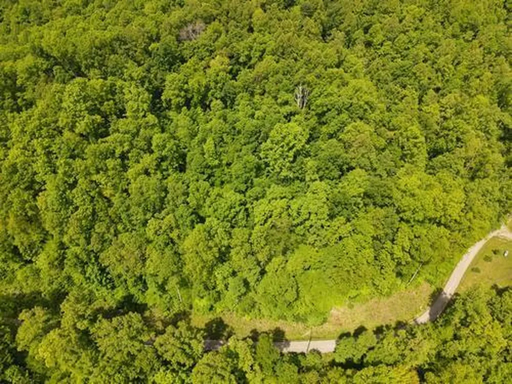 0 Pleasant Run West Liberty KY 41472
