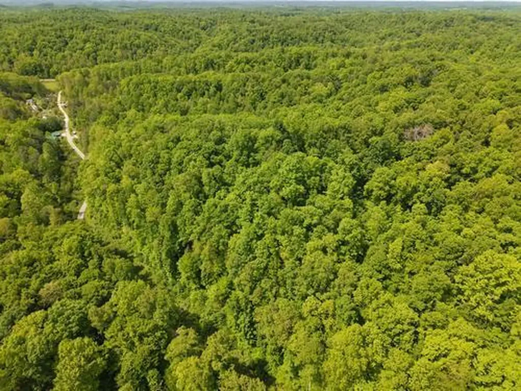 0 Pleasant Run West Liberty KY 41472