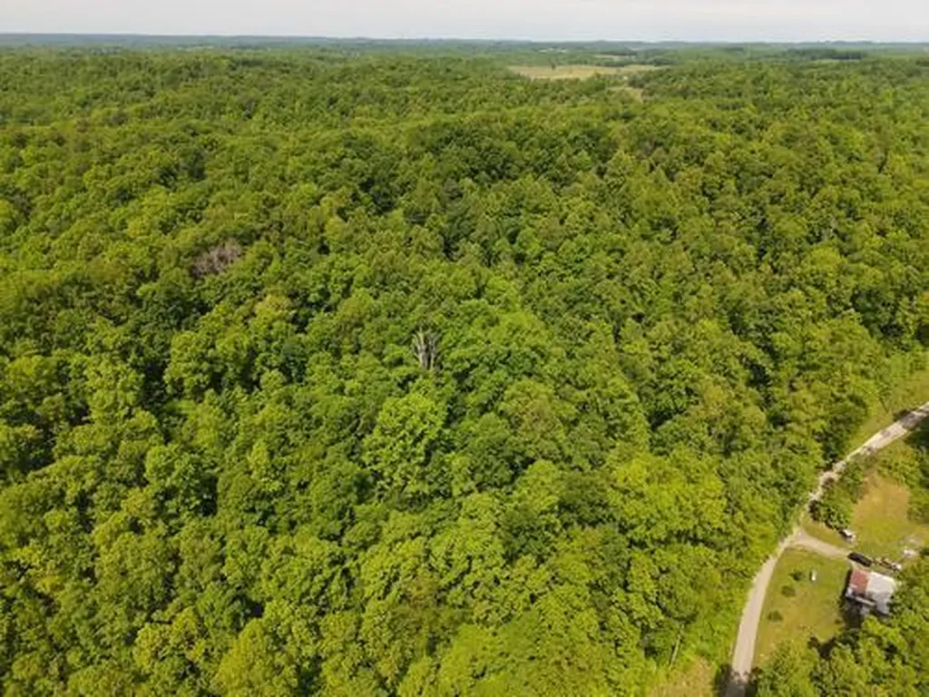 0 Pleasant Run West Liberty KY 41472