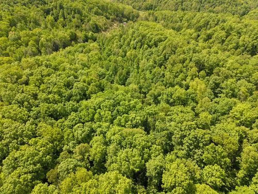 0 Pleasant Run West Liberty KY 41472