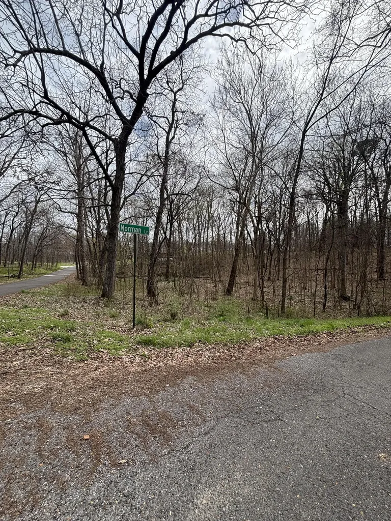 Lot 23 Norman Lane Mayfield KY 42066