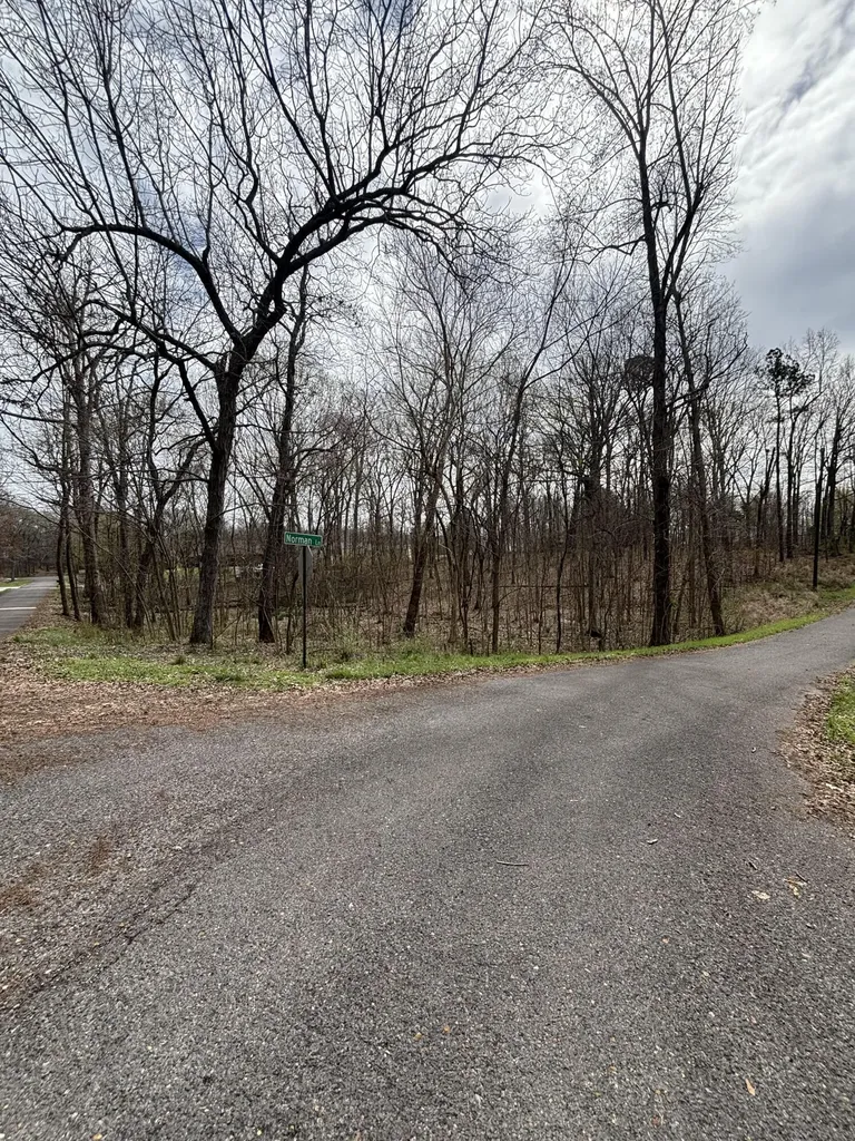 Lot 23 Norman Lane Mayfield KY 42066