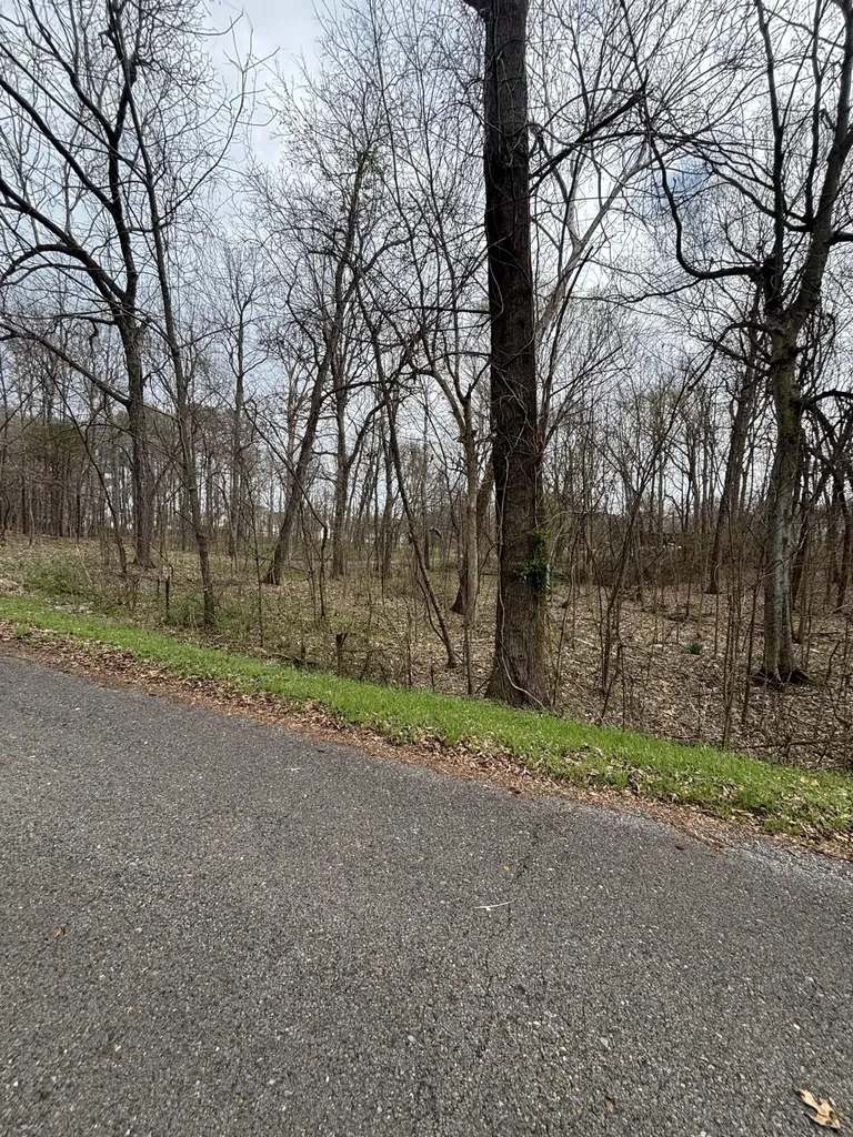 Lot 23 Norman Lane Mayfield KY 42066