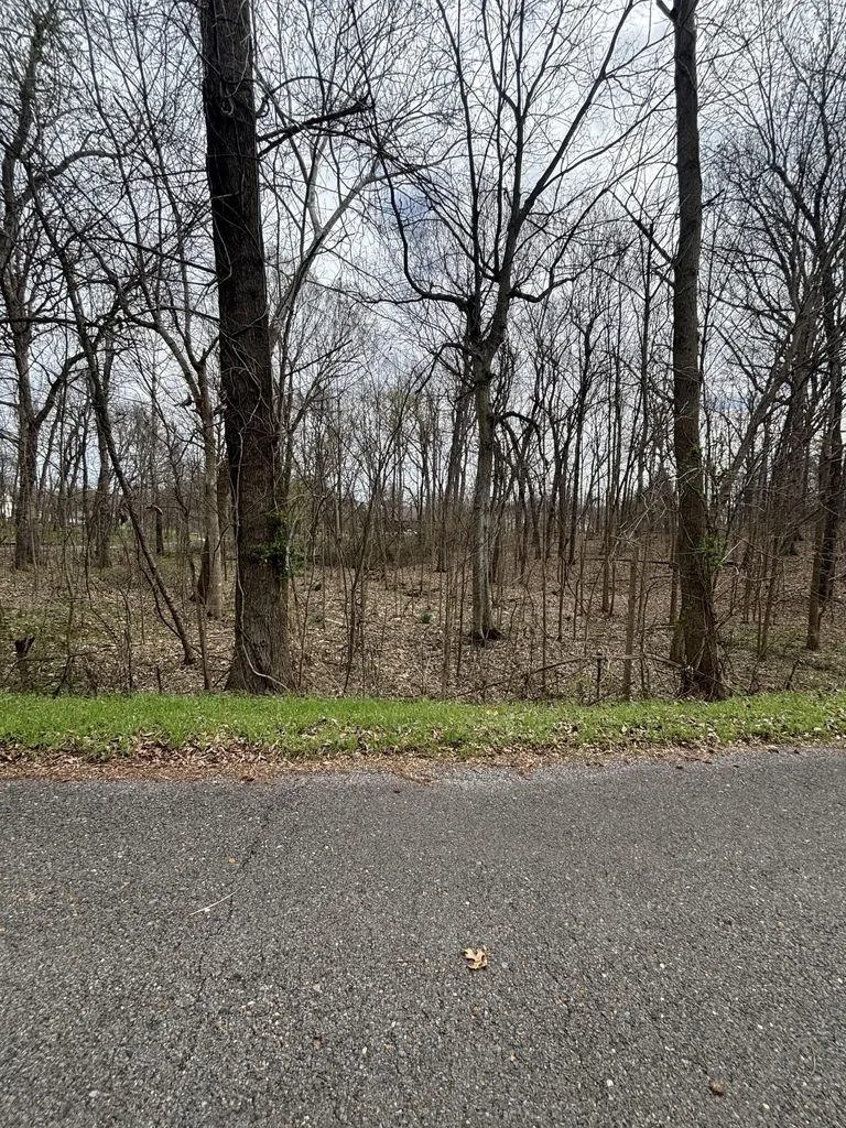Lot 23 Norman Lane Mayfield KY 42066