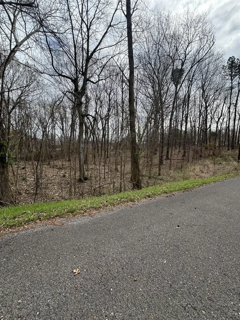 Lot 23 Norman Lane Mayfield KY 42066