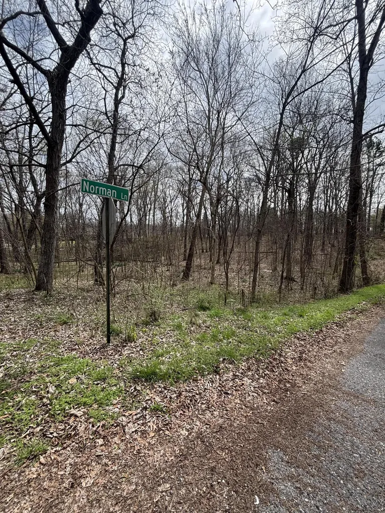 Lot 23 Norman Lane Mayfield KY 42066