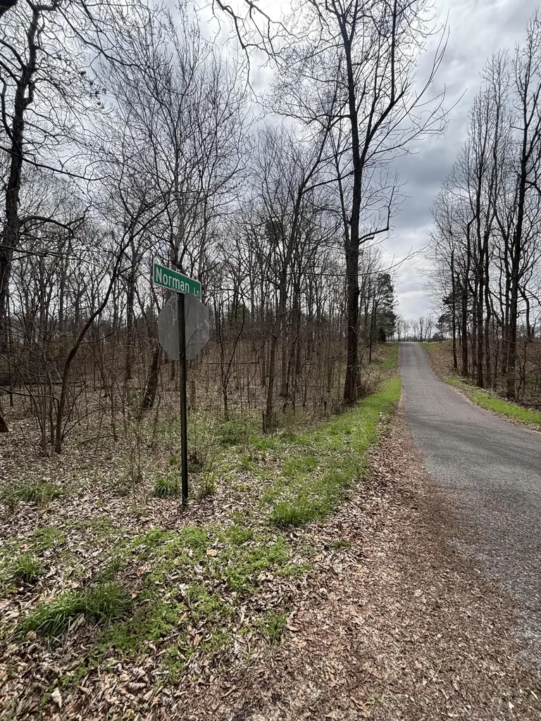 Lot 23 Norman Lane Mayfield KY 42066