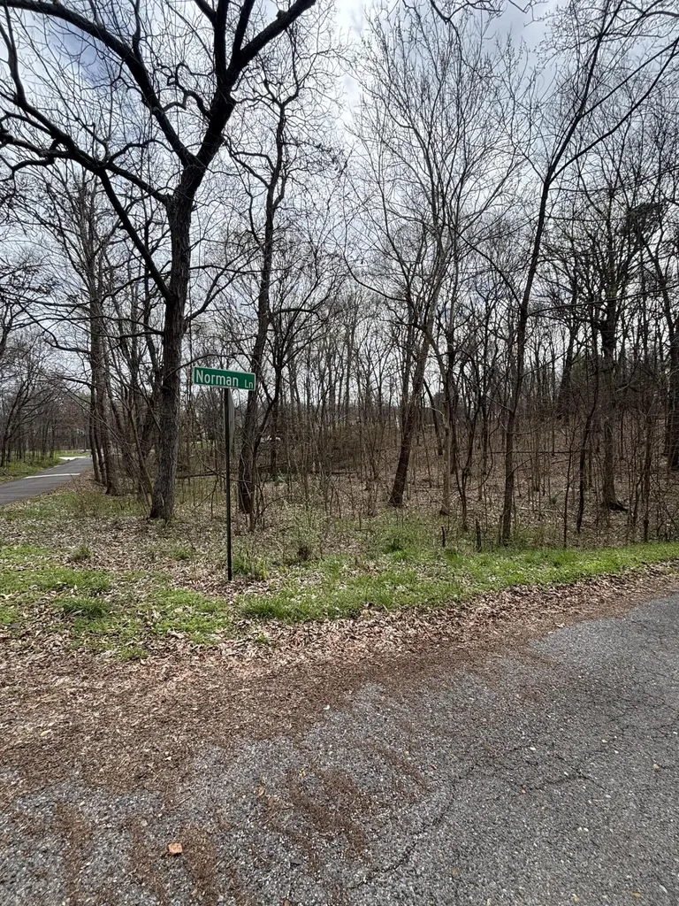 Lot 23 Norman Lane Mayfield KY 42066