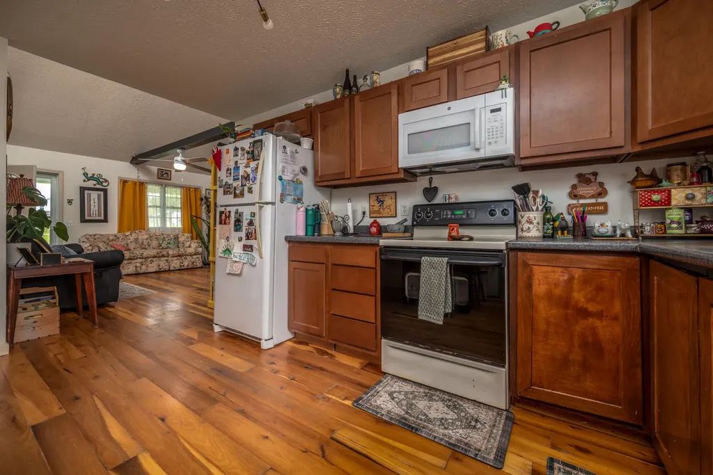55 Mitchell Lane Morehead KY 40351