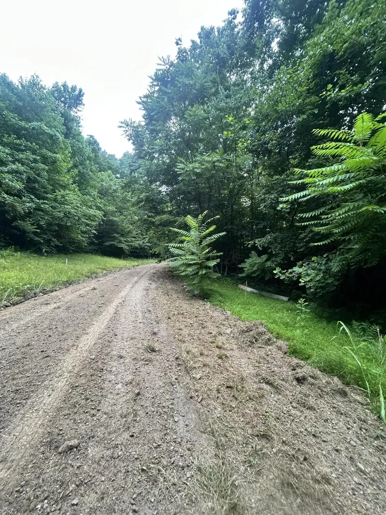 Tract 68-70 Cd Dogwood Drive Whitley City KY 42653