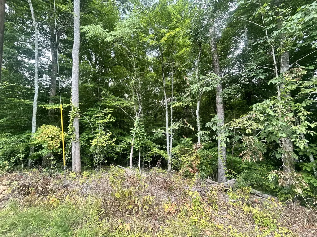 Tract 68-70 Cd Dogwood Drive Whitley City KY 42653