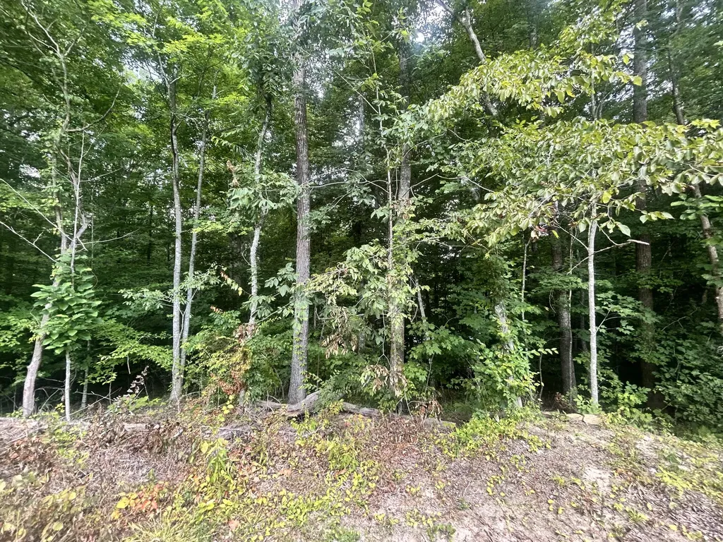 Tract 68-70 Cd Dogwood Drive Whitley City KY 42653