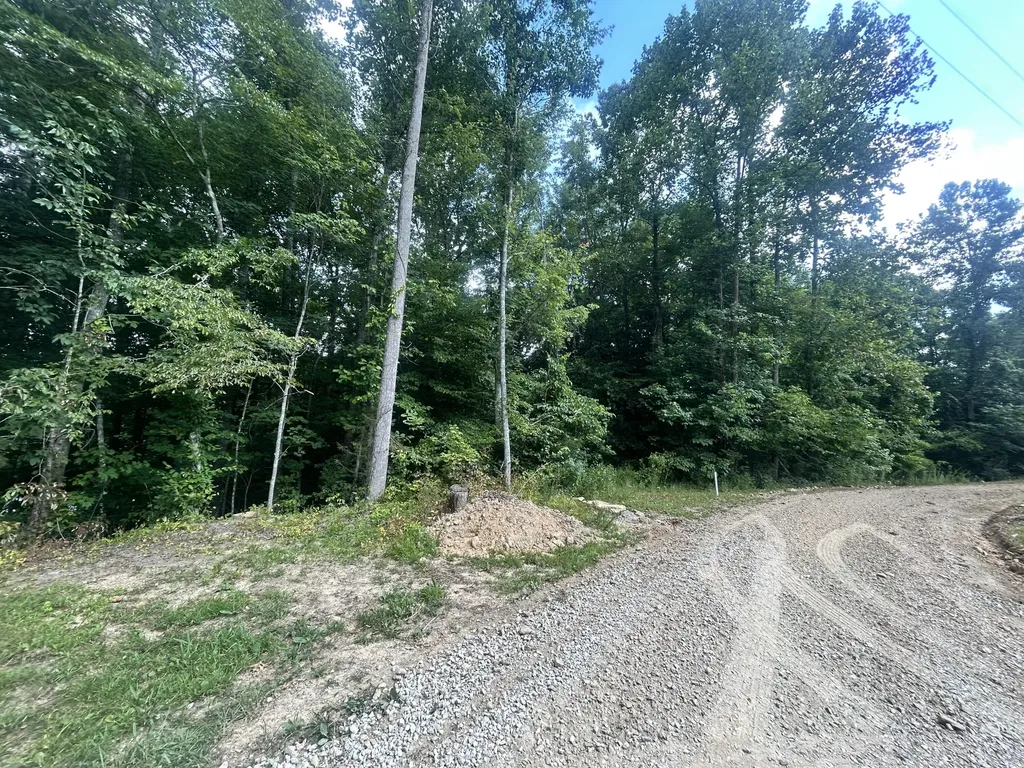 Tract 68-70 Cd Dogwood Drive Whitley City KY 42653