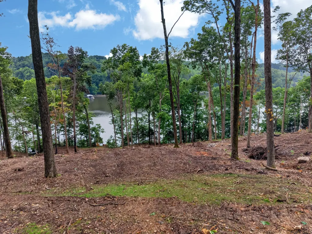 Lot 11 Elwood Road Eddyville KY 42038