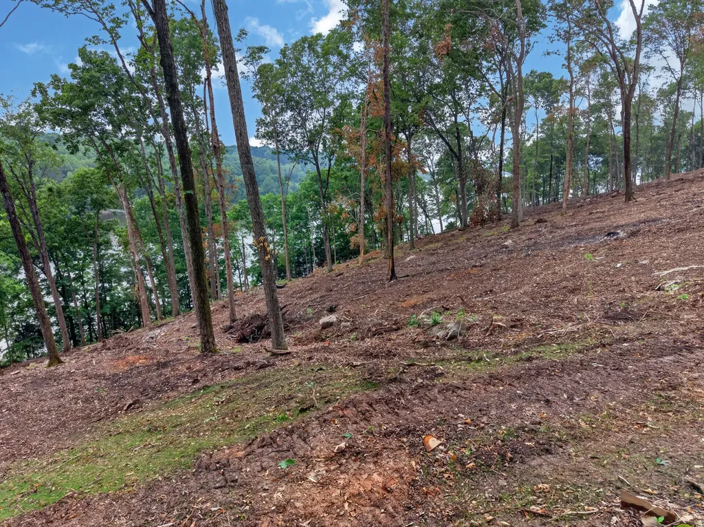 Lot 11 Elwood Road Eddyville KY 42038