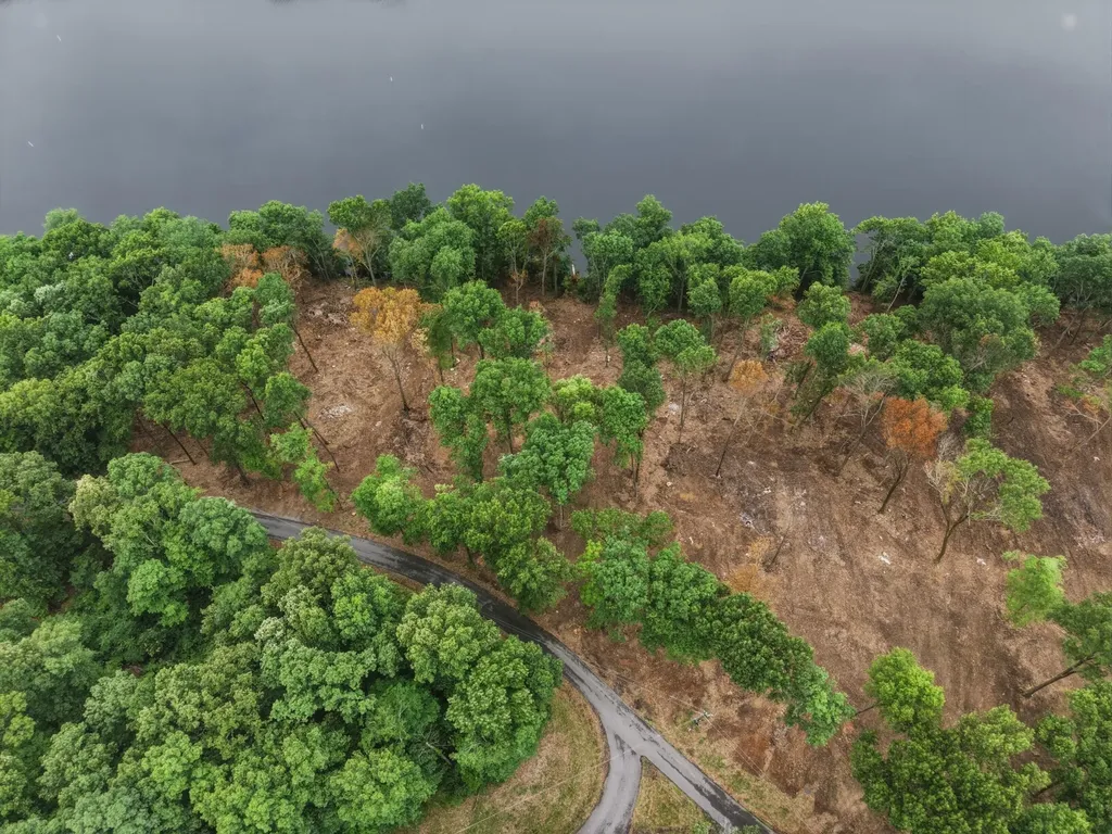 Lot 11 Elwood Road Eddyville KY 42038