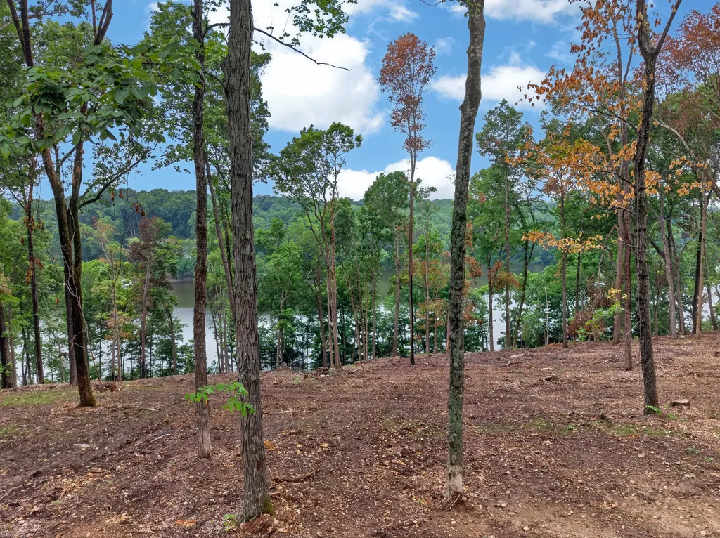 Lot 11 Elwood Road Eddyville KY 42038