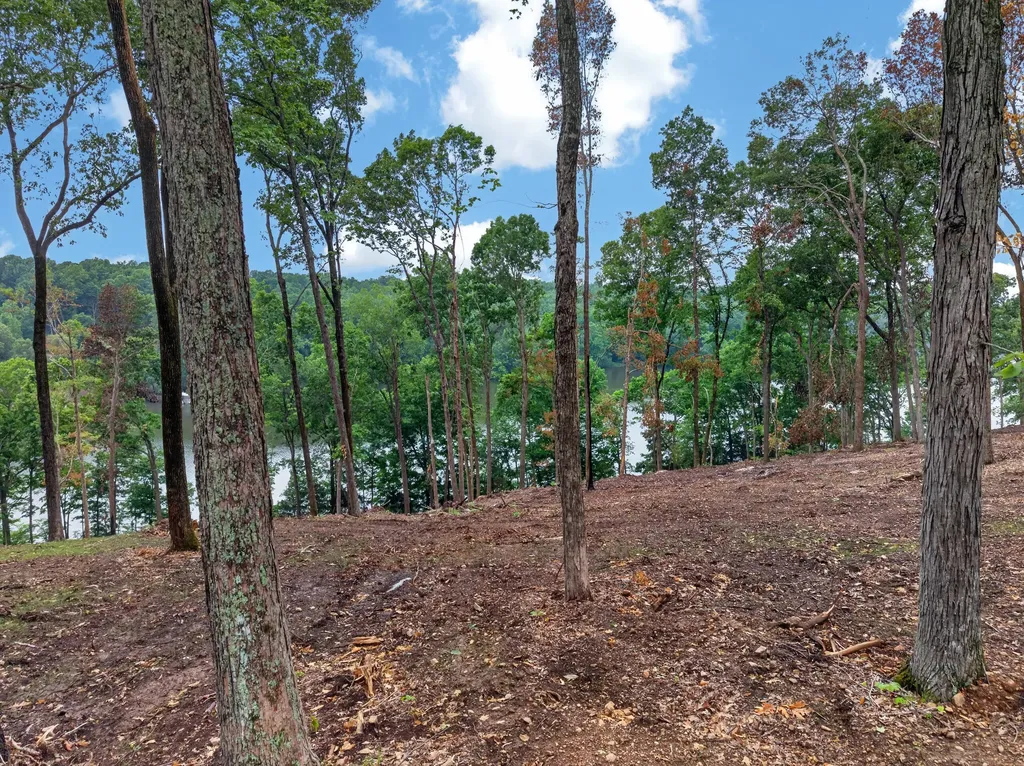 Lot 11 Elwood Road Eddyville KY 42038