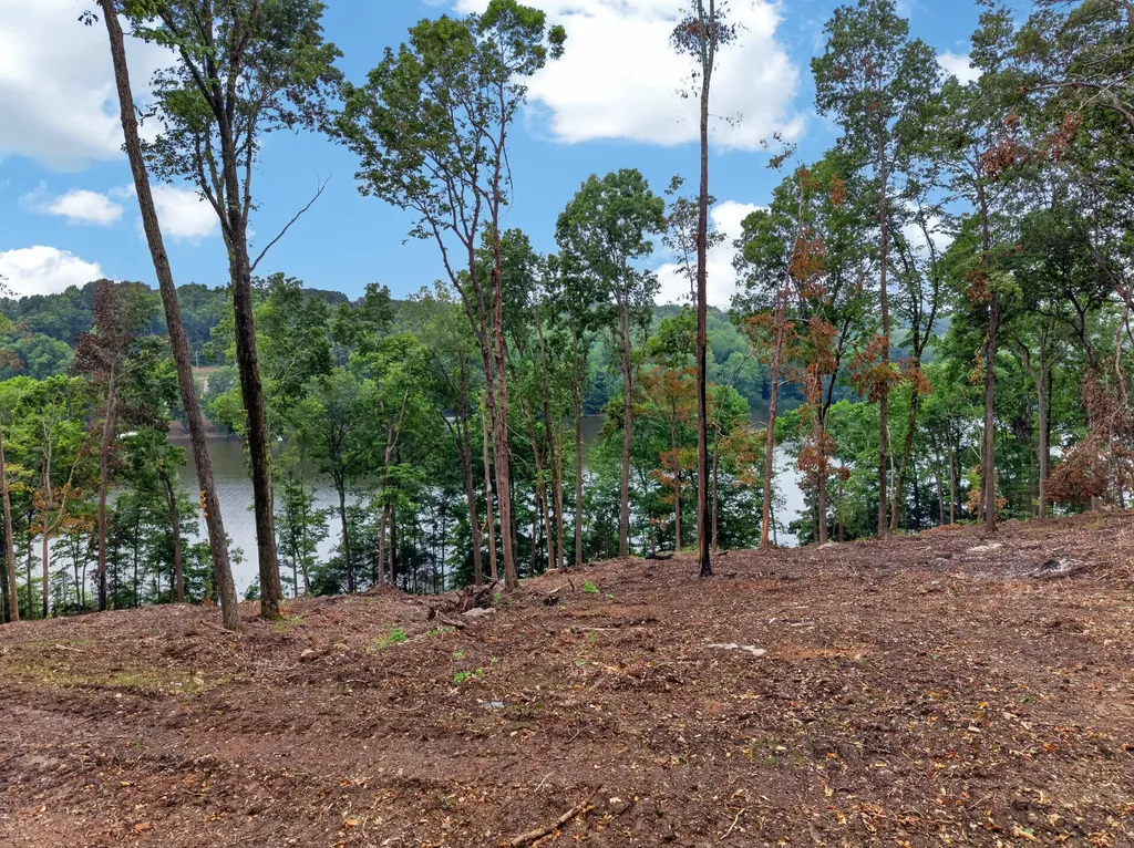 Lot 11 Elwood Road Eddyville KY 42038