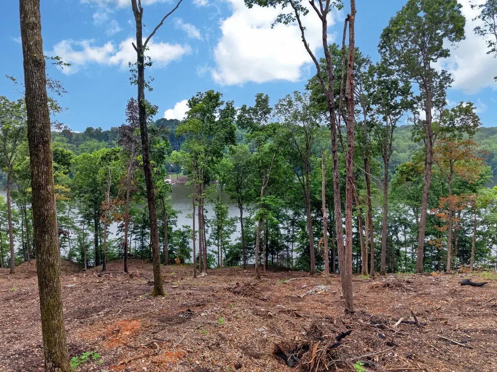 Lot 11 Elwood Road Eddyville KY 42038