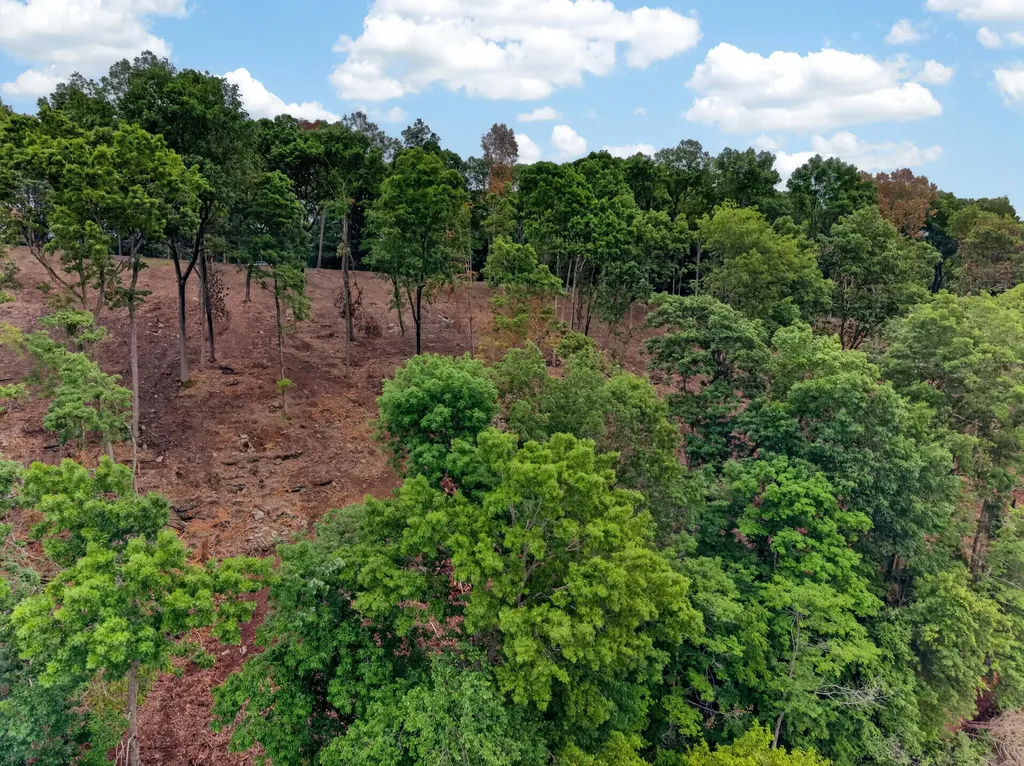 Lot 11 Elwood Road Eddyville KY 42038