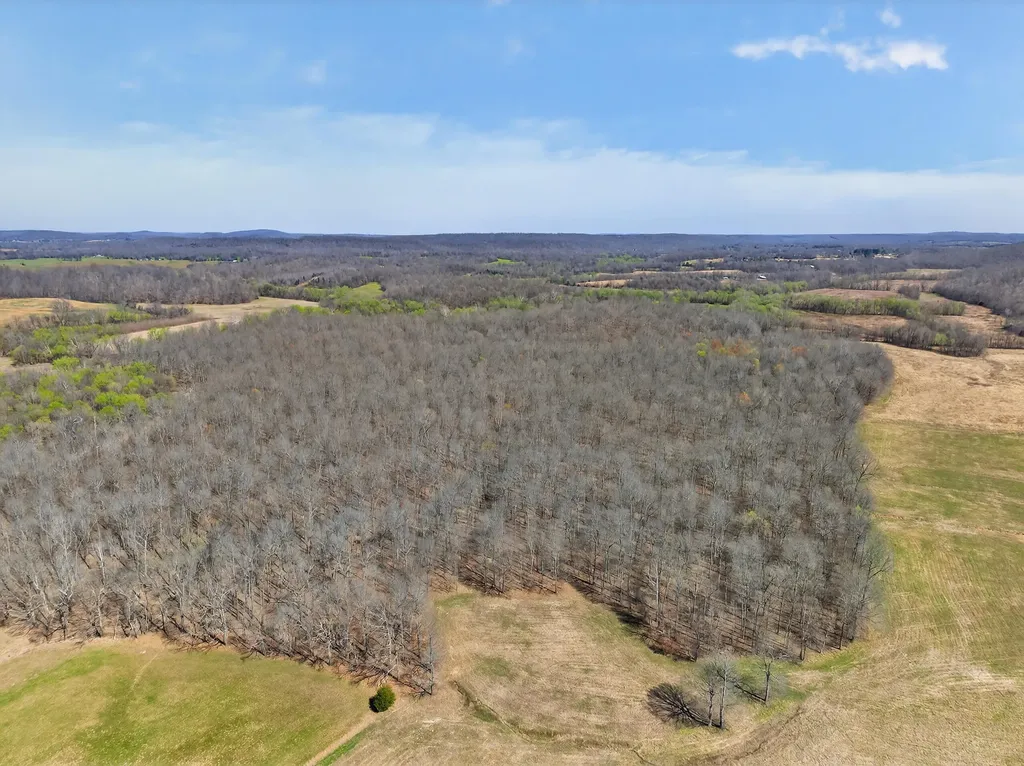 2526 Axel Creek Road Salem KY 42078