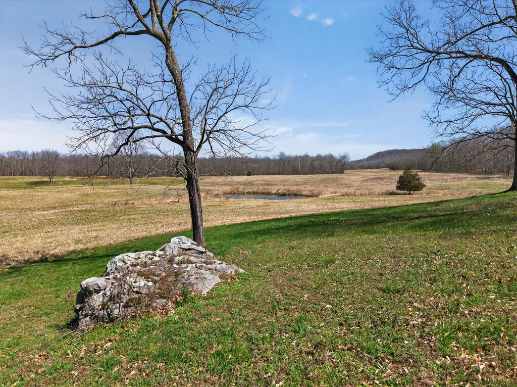 2526 Axel Creek Road Salem KY 42078
