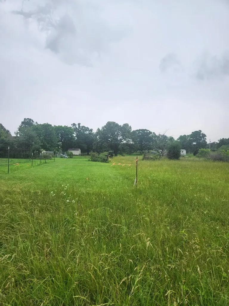2224 Golo Road Mayfield KY 42066