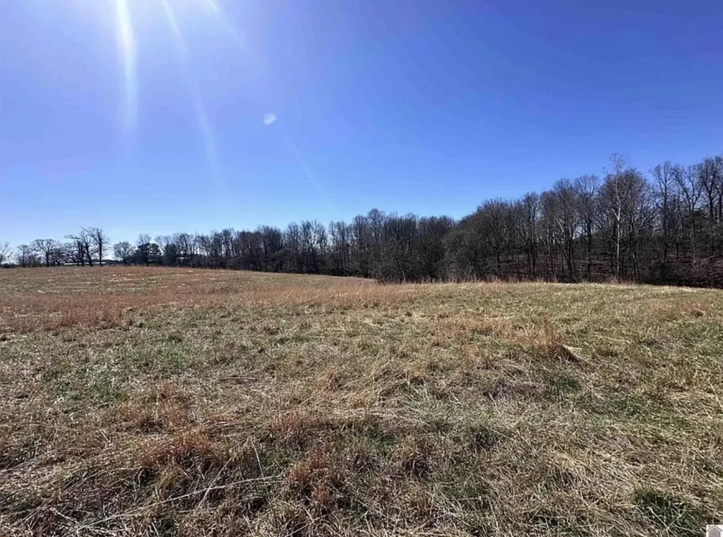 2224 Golo Road Mayfield KY 42066